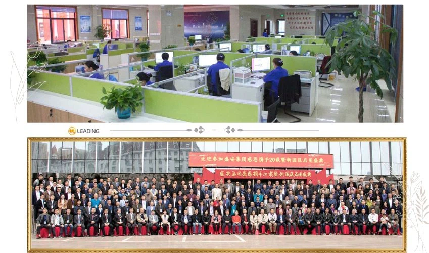 company profile company profile